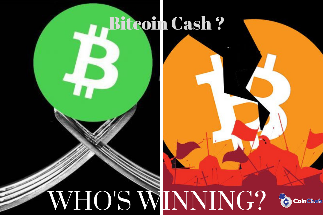 bitcoin cash hard fork